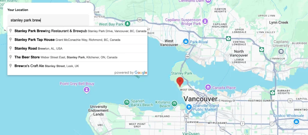 Google Maps location
