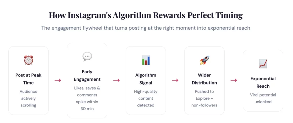 How Instagram's Algorithm Rewards Perfect Timing